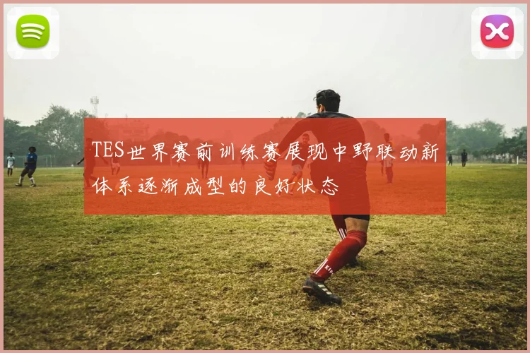 TES世界赛前训练赛展现中野联动新体系逐渐成型的良好状态